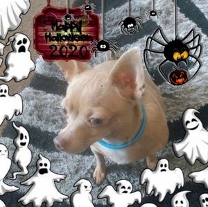 Meet your Posher, Laverne